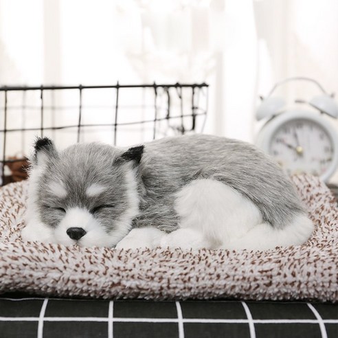 진짜같은 잠자는 강아지 고양이 인형, 귀여움에 속아들다